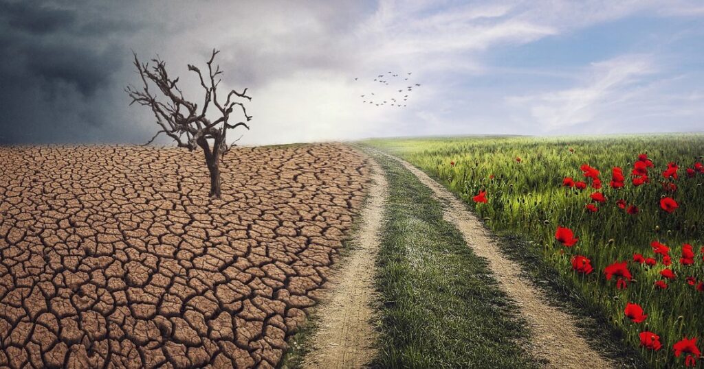 This image shows a drough land and a fresh land. It shows the the climate change on education.
impact of climate change on education
effects of climate change on education
effect of climate change on education system
effect of climate change on education system pdf